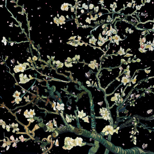 阿德征服1—5部曲
