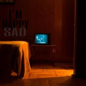 阿德征服1—5部曲
