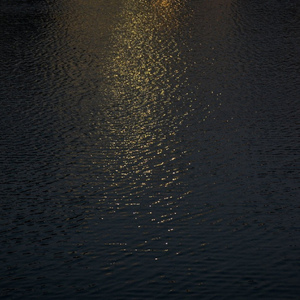 裸体老头鸡巴同性恋熊叔
