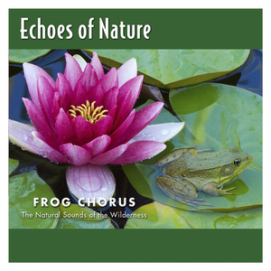 阿德征服1—5部曲
