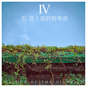 肉版银河自慰队H版
